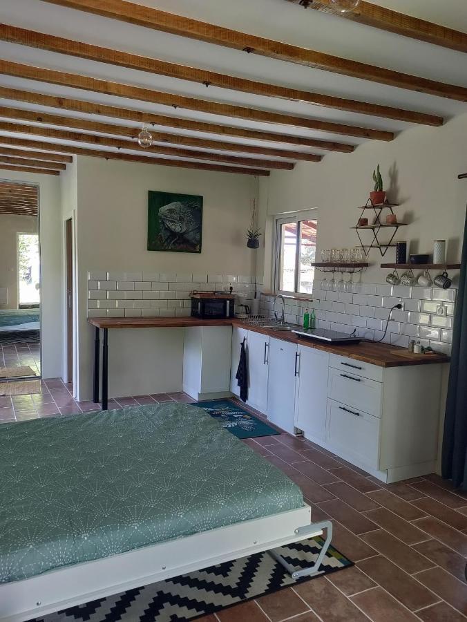 Apartamento Chez Chapelle In The Heart Of The Gascony With Pool And Hot Tub Auch Exterior foto