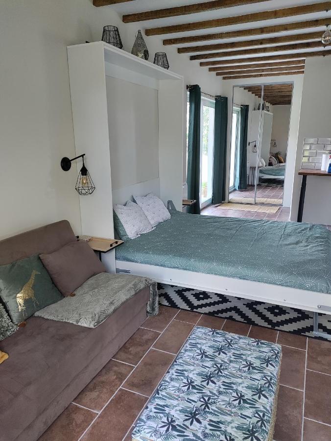Apartamento Chez Chapelle In The Heart Of The Gascony With Pool And Hot Tub Auch Exterior foto