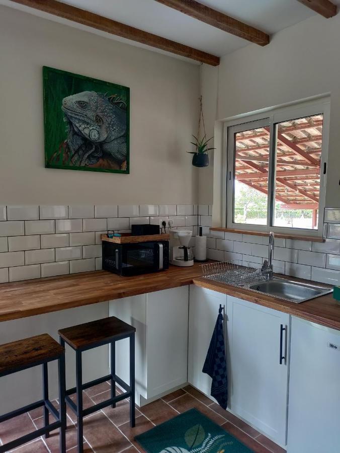 Apartamento Chez Chapelle In The Heart Of The Gascony With Pool And Hot Tub Auch Exterior foto